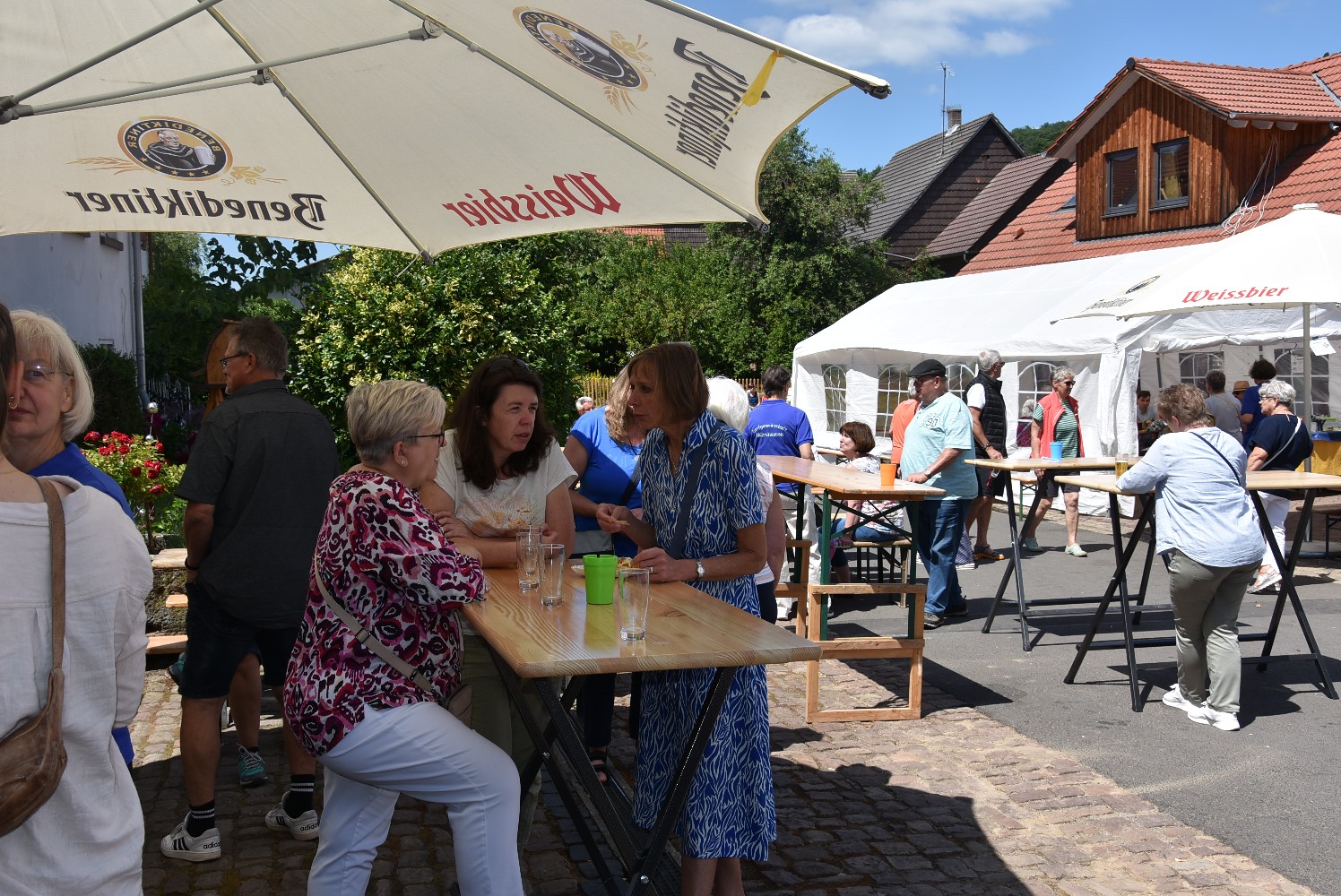 Dorffest-2025-263.jpg