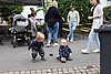 Dorffest-2026-298.JPG